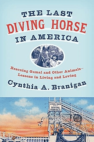 The Last Diving Horse